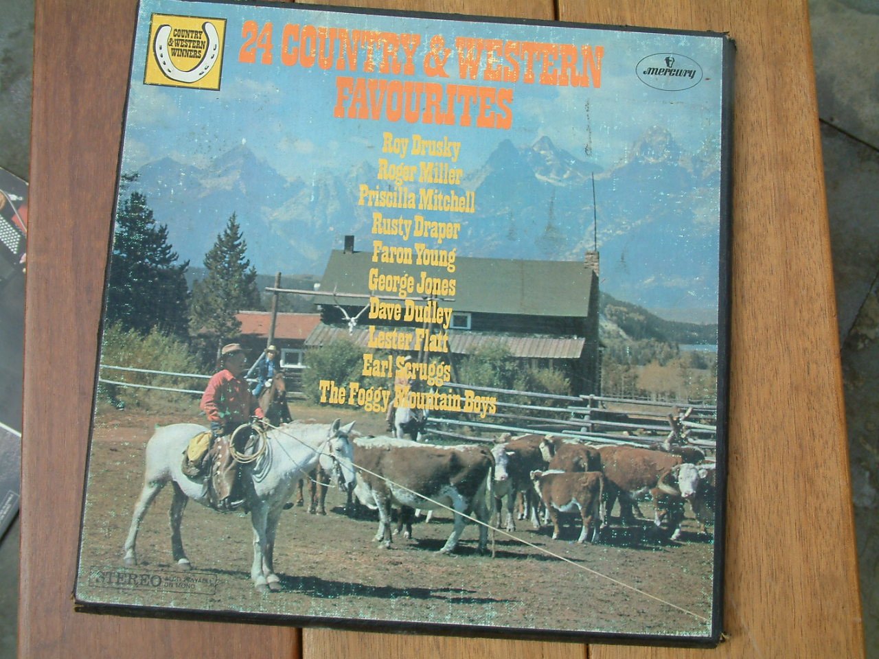 100 langspeelplaten  55 euro