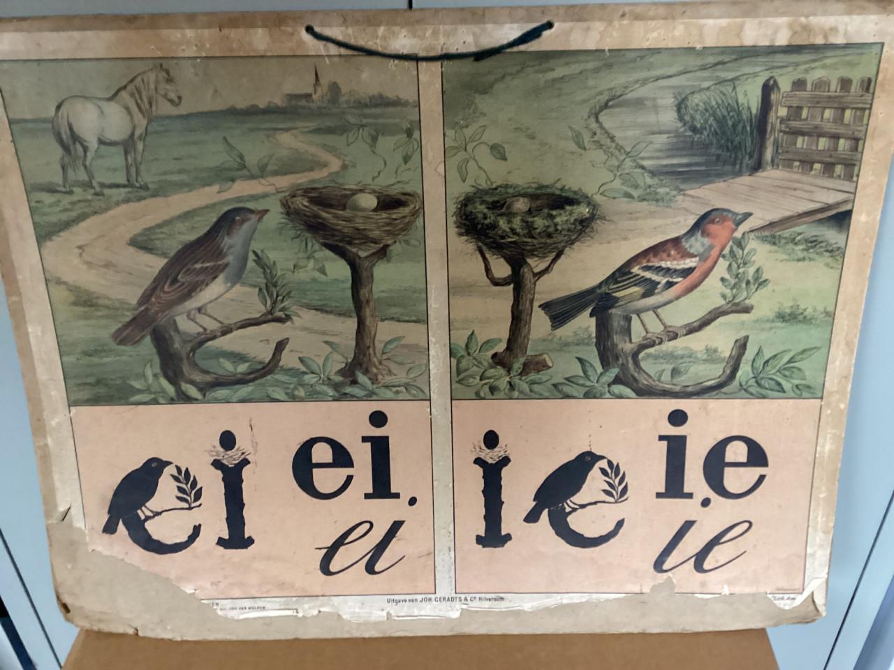 Schoolplaat (Vogels). 1.