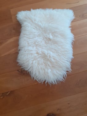 Vloerkleedje