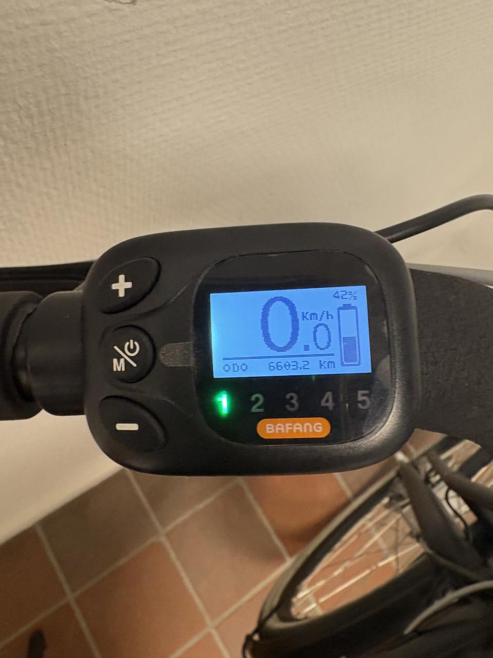 Elektrische herenfiets