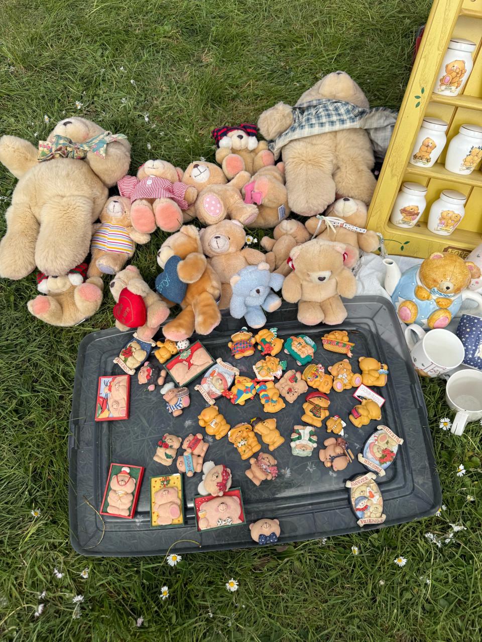 Forever Friends - collectie in 1 keer weg!