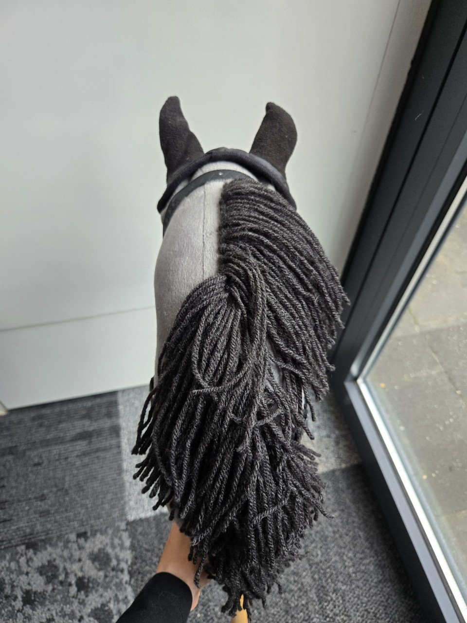 Mooie Hobbyhorse