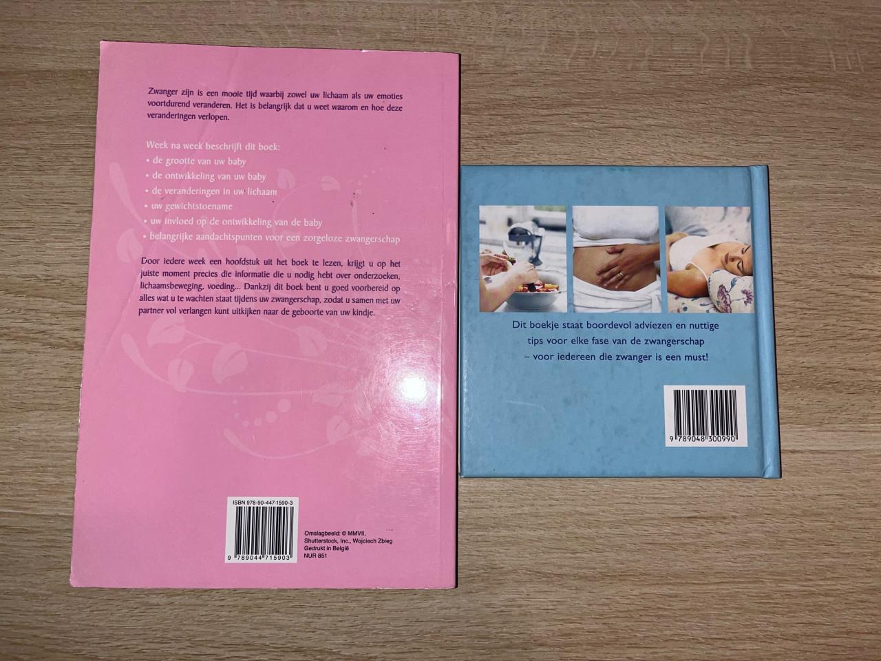 Twee boeken over zwangerschap