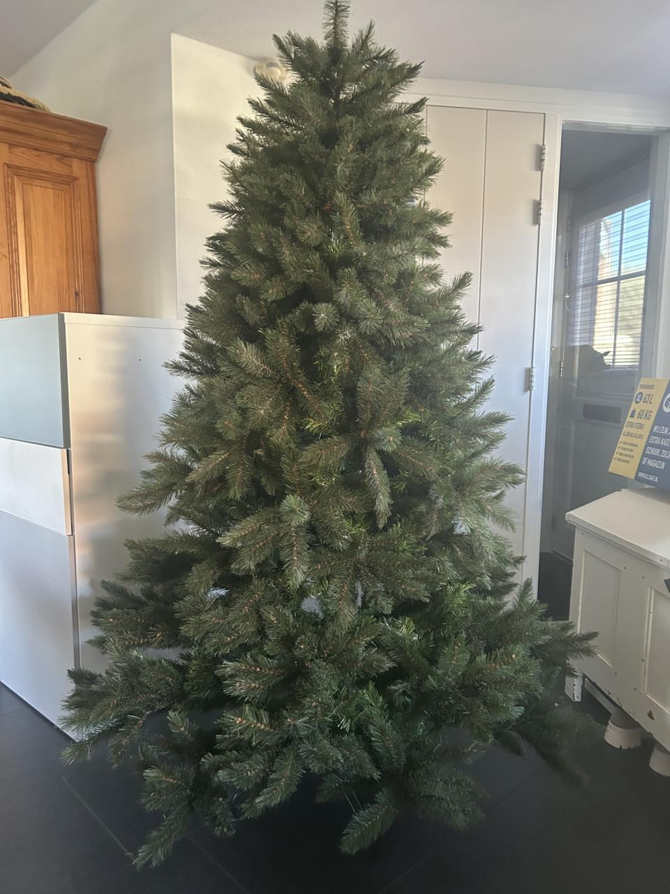 Kerstboom 2.00 hoog , afkomstig vd Intratuin Zeer mooi!