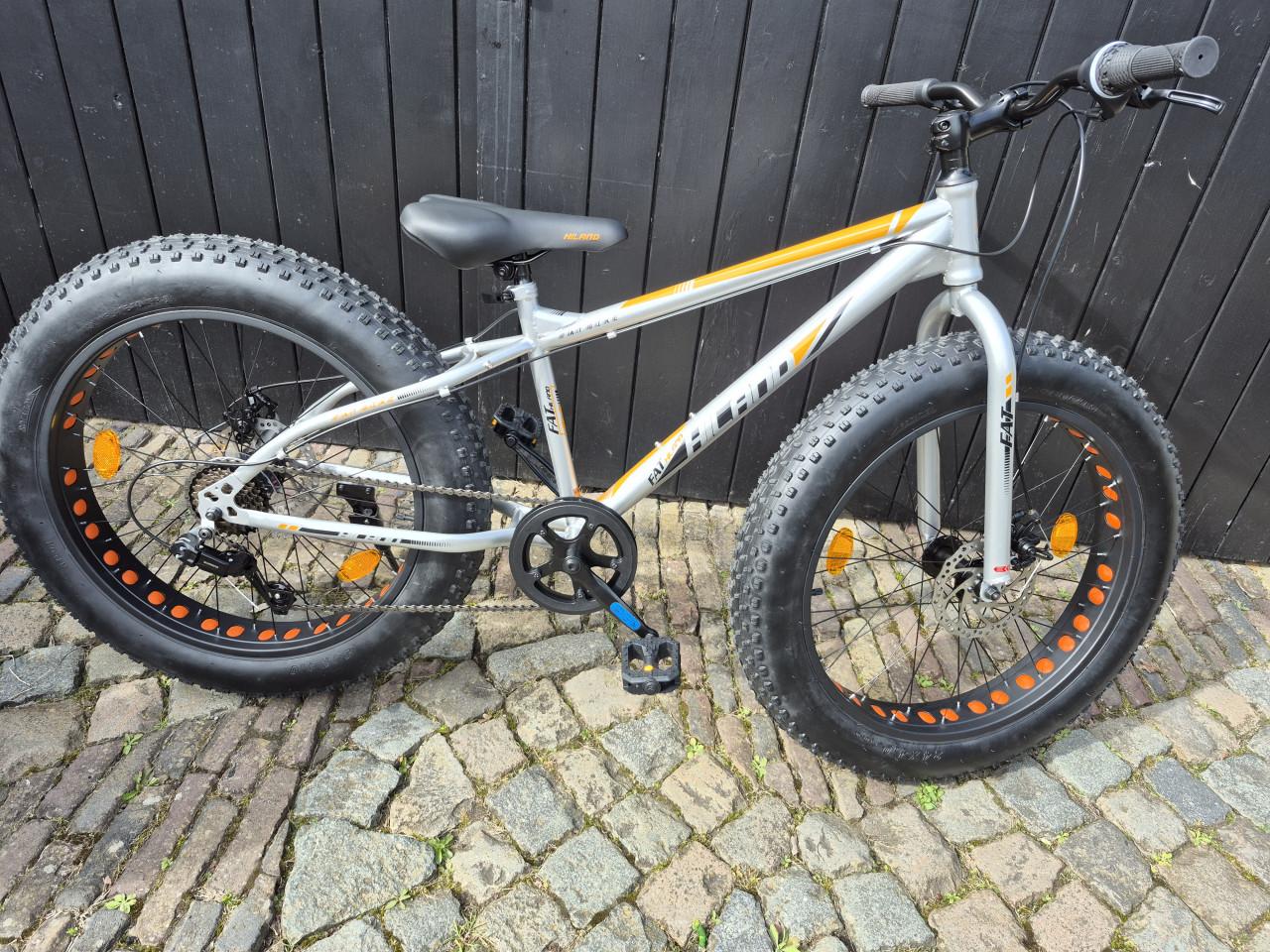 Fiets met dikke banden