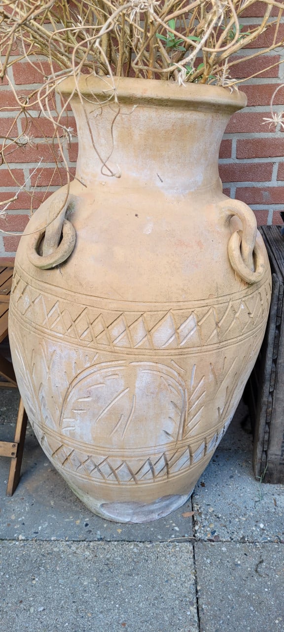 Grote pot met plant