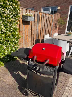 BBQ op gas