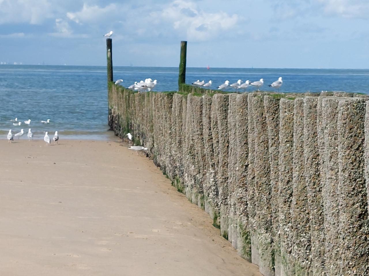 Slaapstrandhuisje te Dishoek