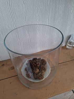 Vaas, pot, bokaal,  vissenkom,  plantenbak,  kombucha kweek pot