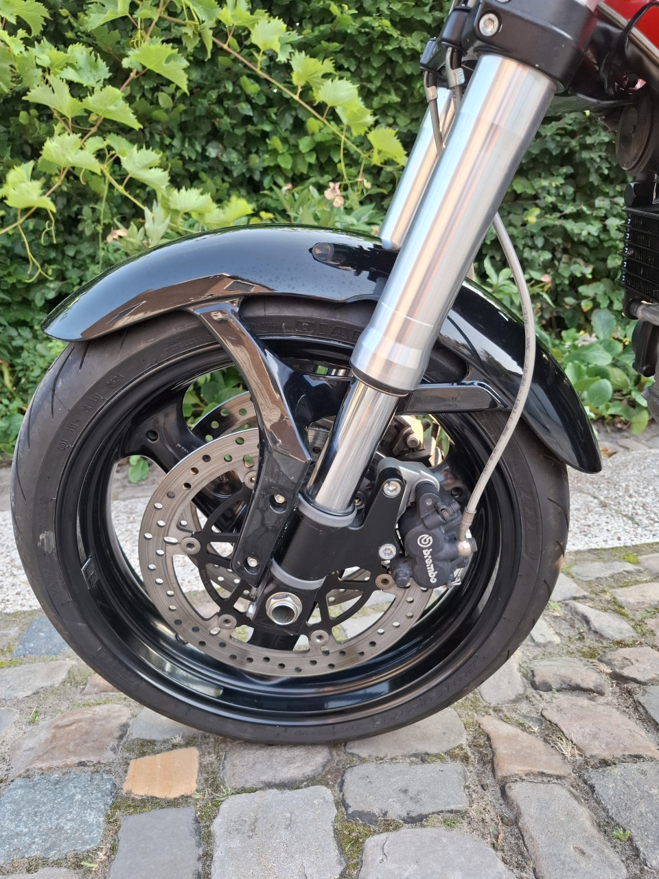 Ducati monster 695
