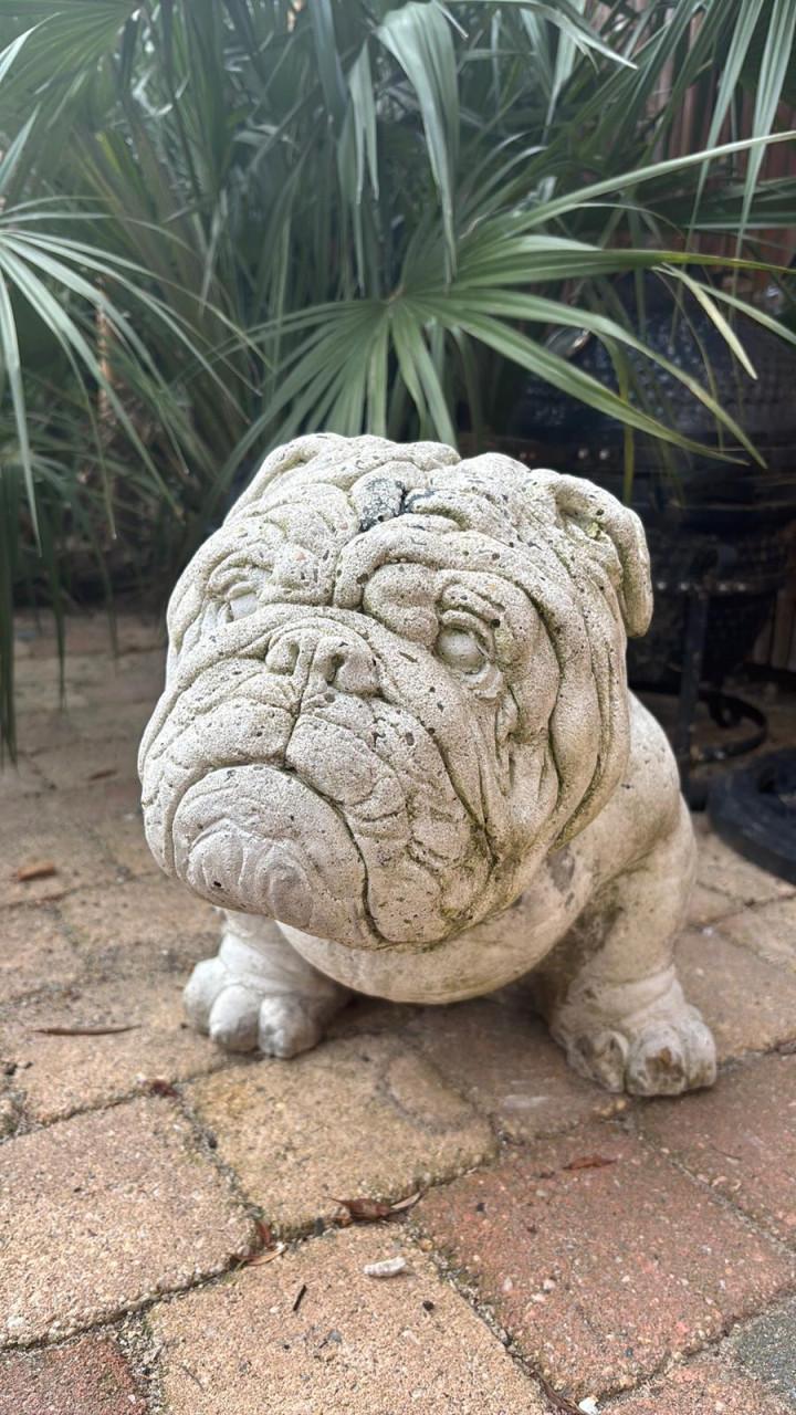 Tuinbeeld wit Engelse bulldog