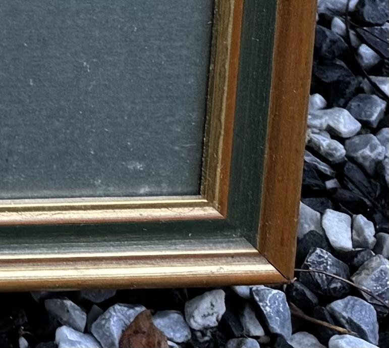 Reproductie Léon Danchin – eenden in vlucht – ingelijst