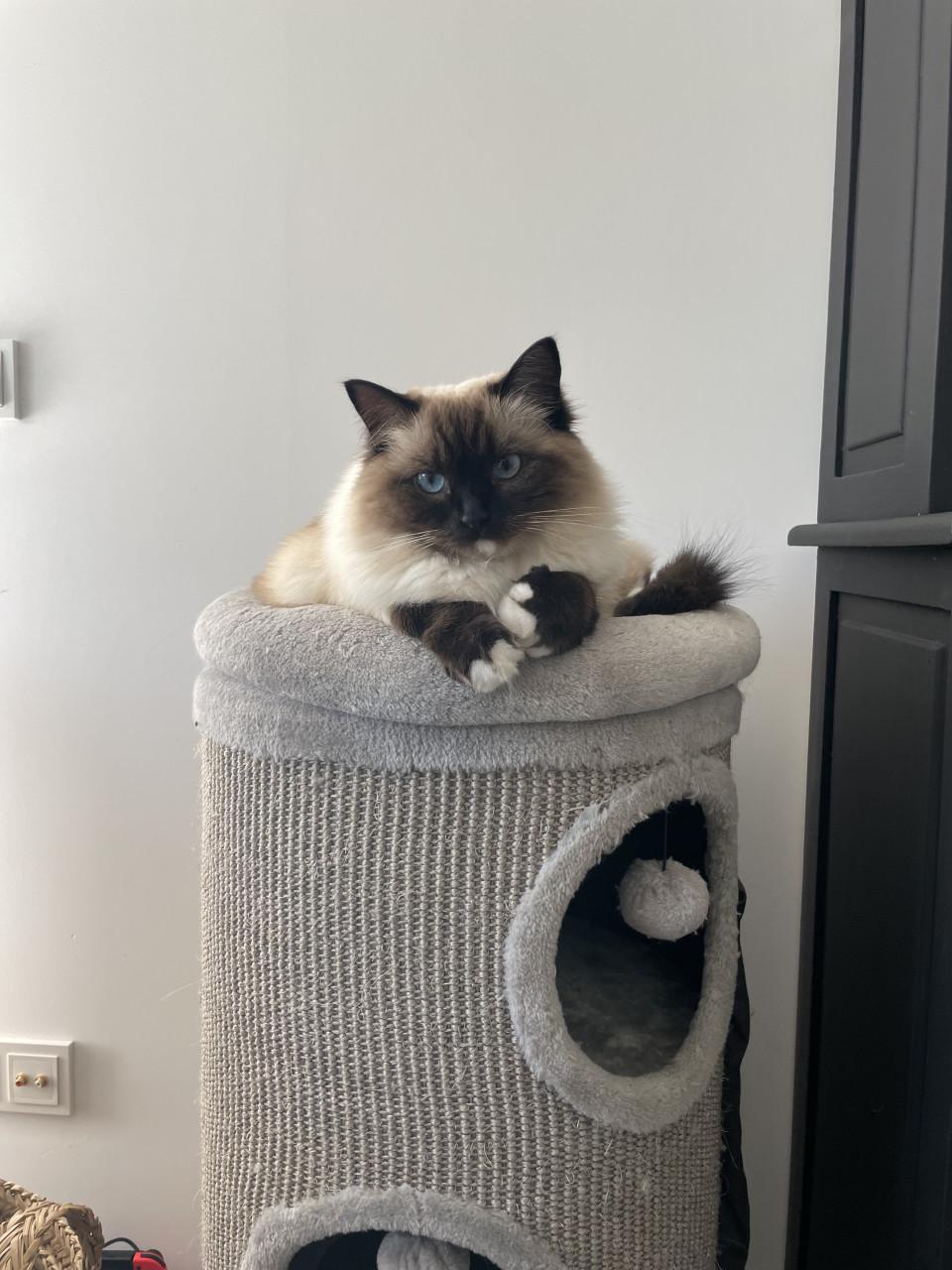 Ted en Nova zijn op zoek naar personeel