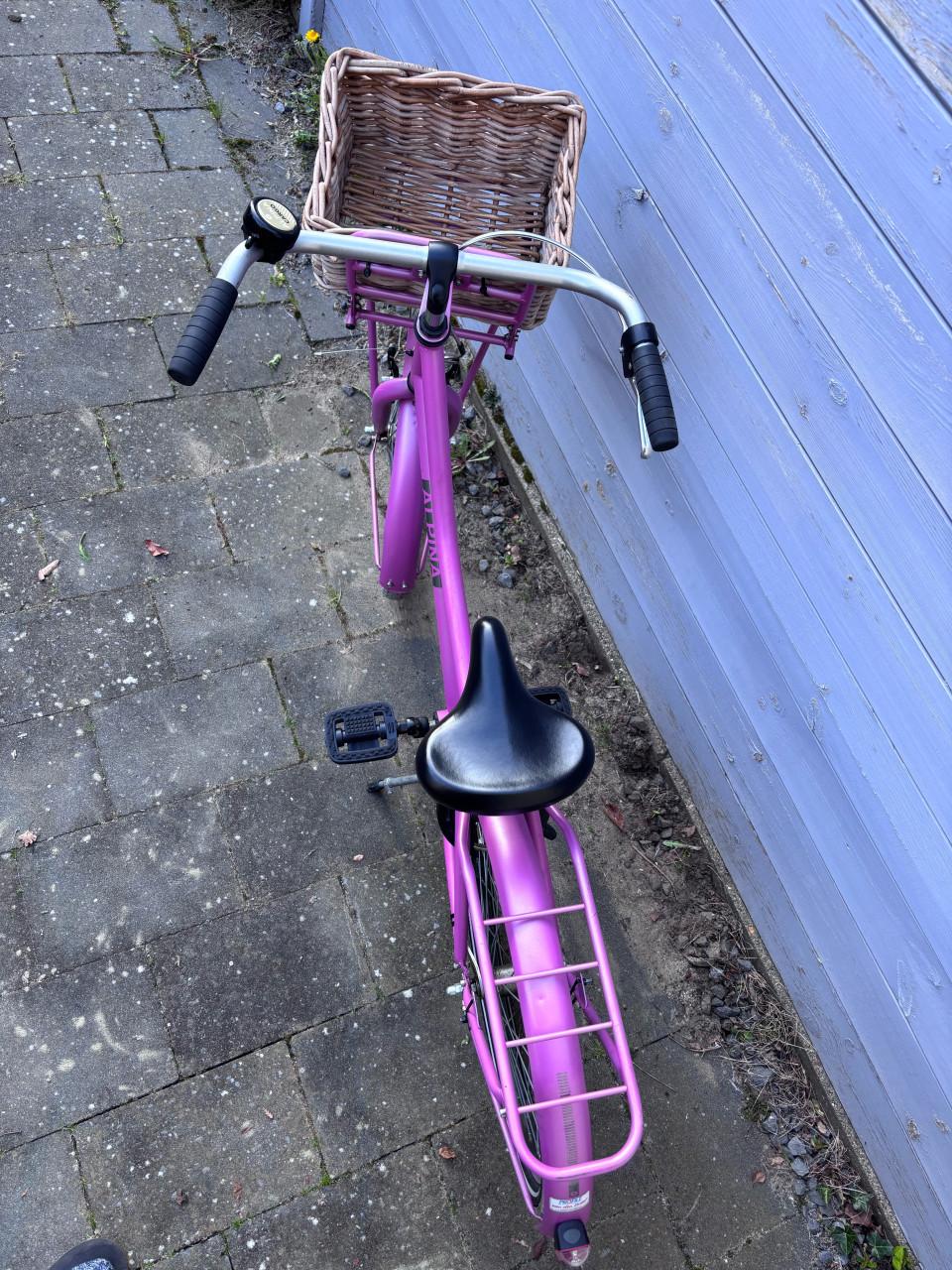 Mooie meisjesfiets Alpina Cargo 22 inch