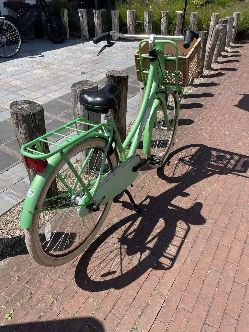 Altec Vintage 50 Groen Damesfietss nette staat !