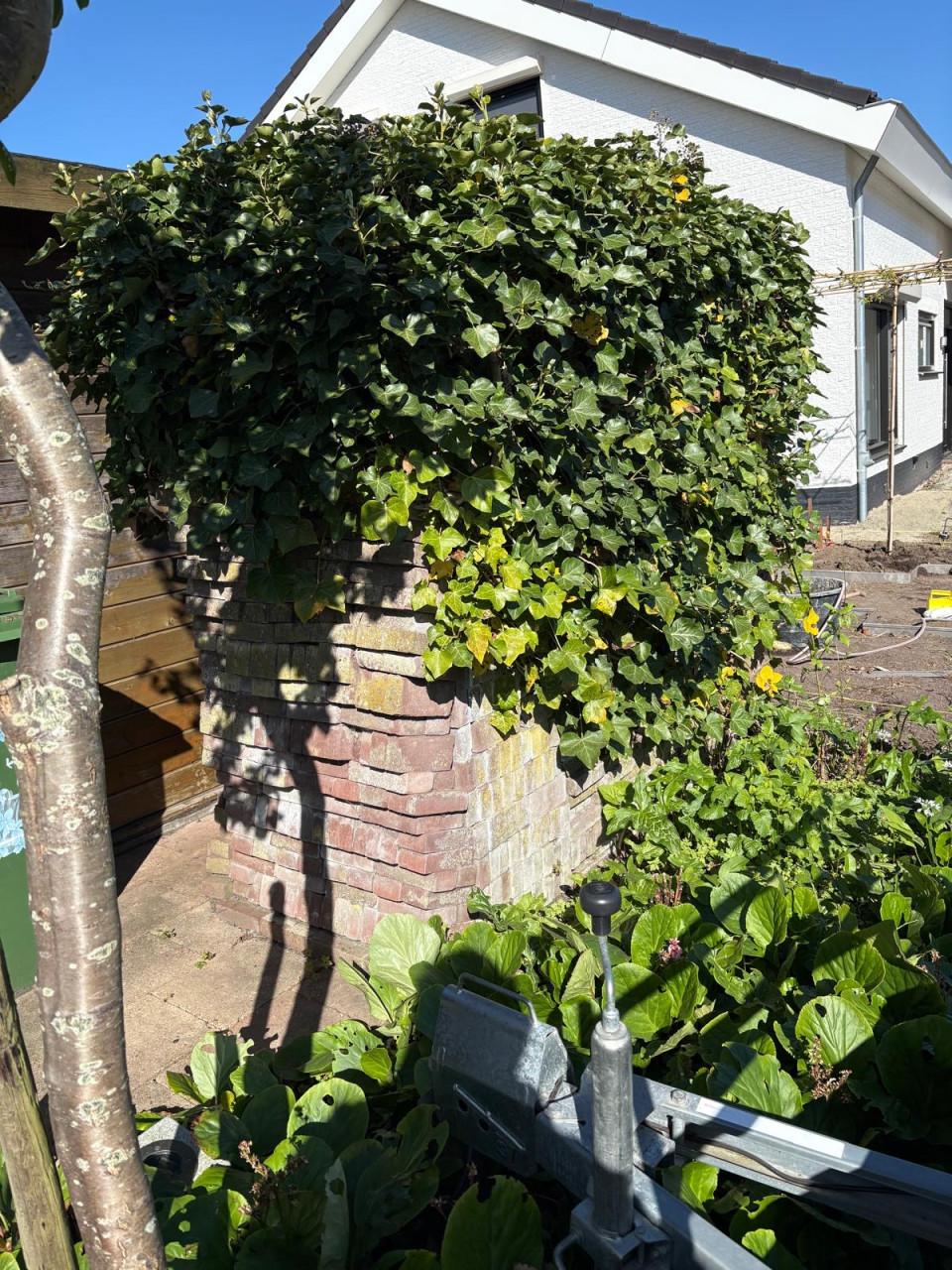 Waaltjes(metselsteen) 20x9x5