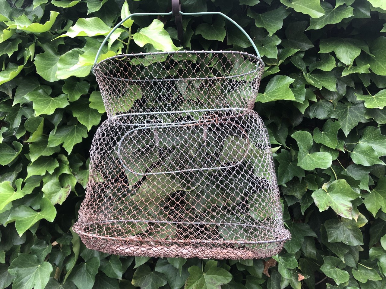 Oud visnet / leefnet ( decoratie )