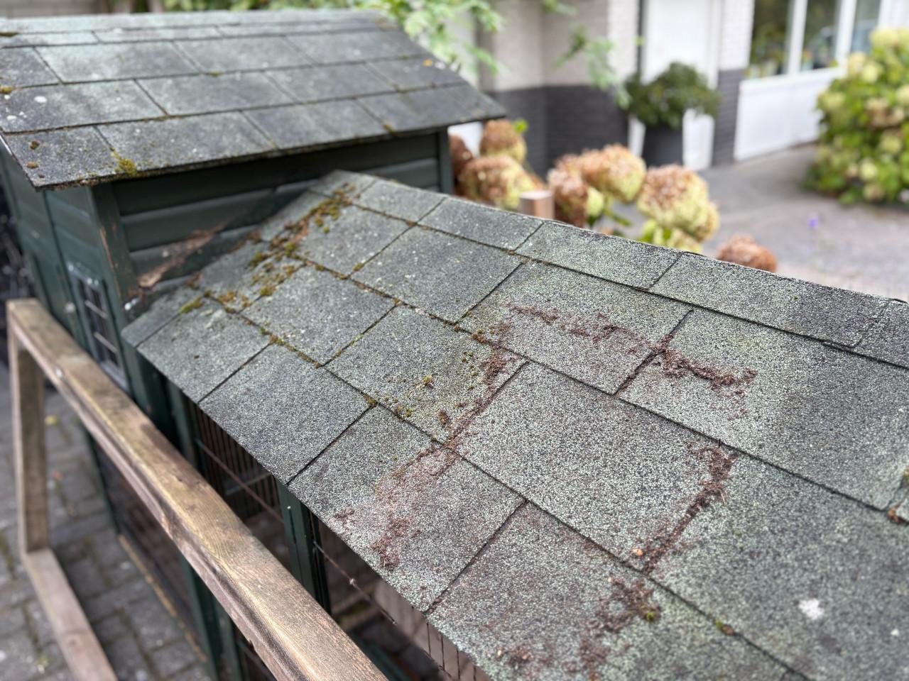 Kippenhok met legnest