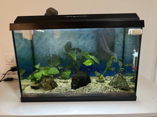 Aquarium