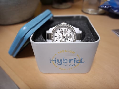 Horloge fossil