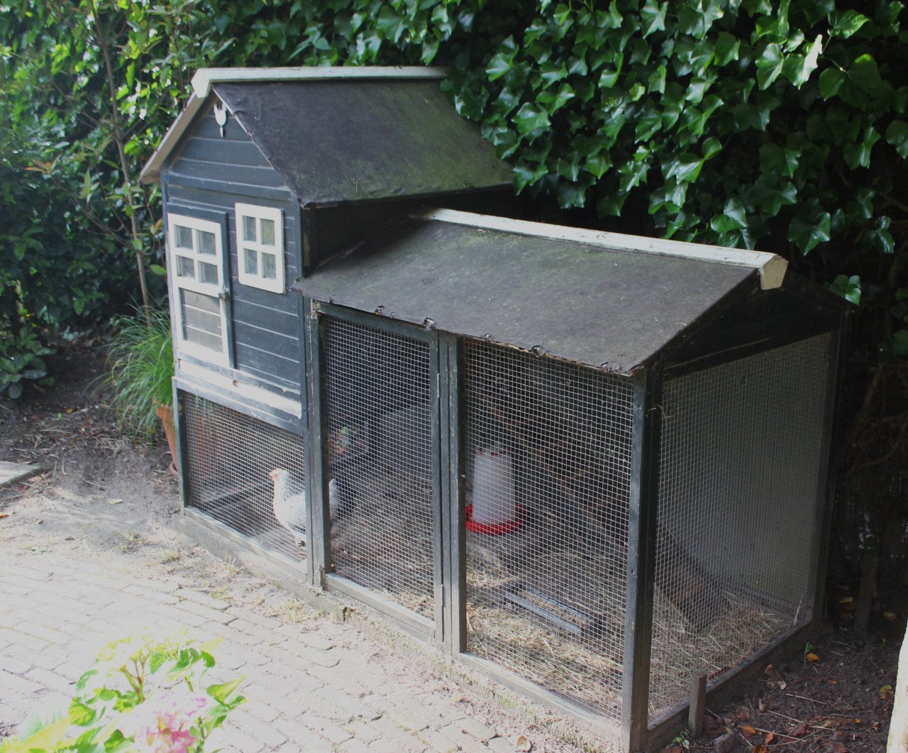 Kippenhok met krielkipjes