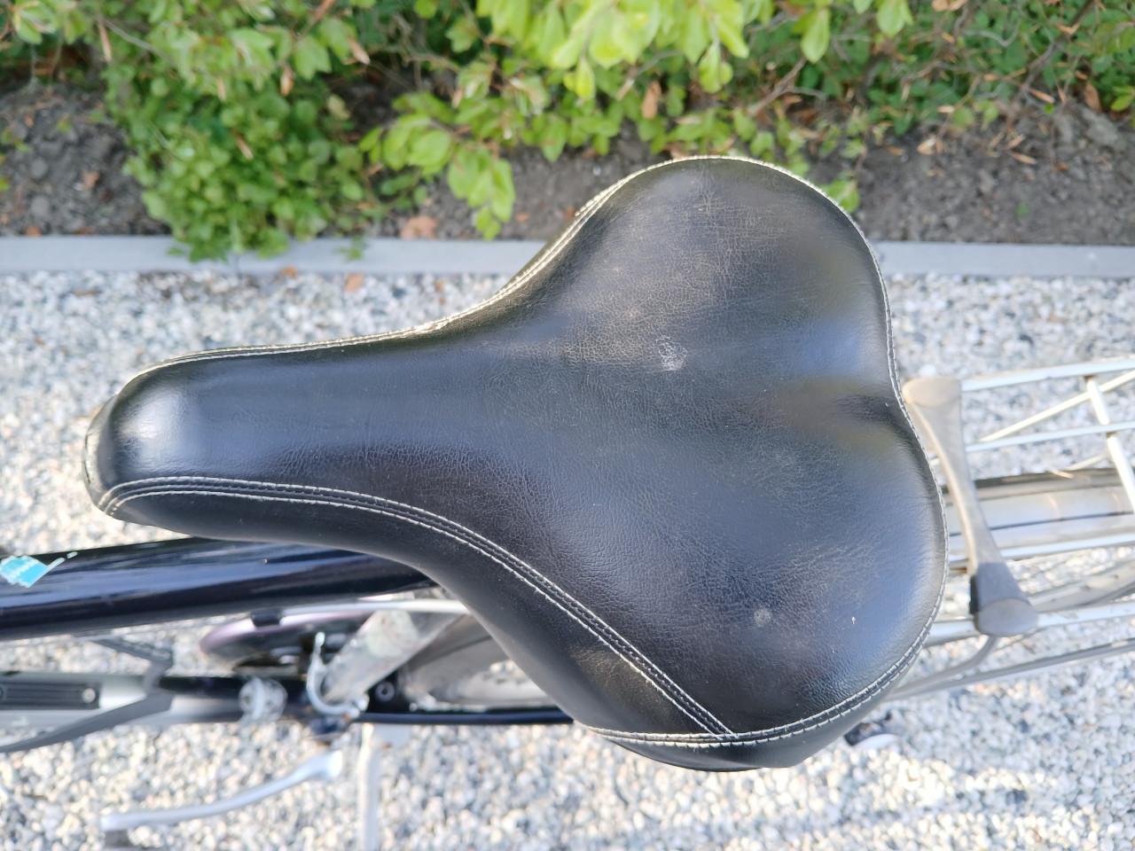 Gazelle herenfiets of jongsfiets