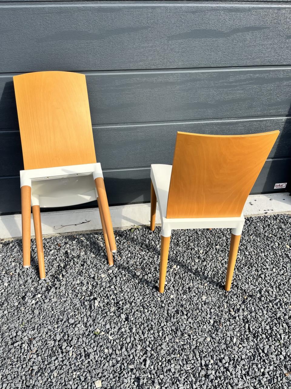 Miss Trip stoelen by Philippe Starck