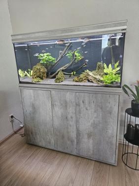 Aquarium 240l incl extern filter en CO2