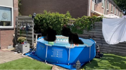 Zwembad (rond) te koop!