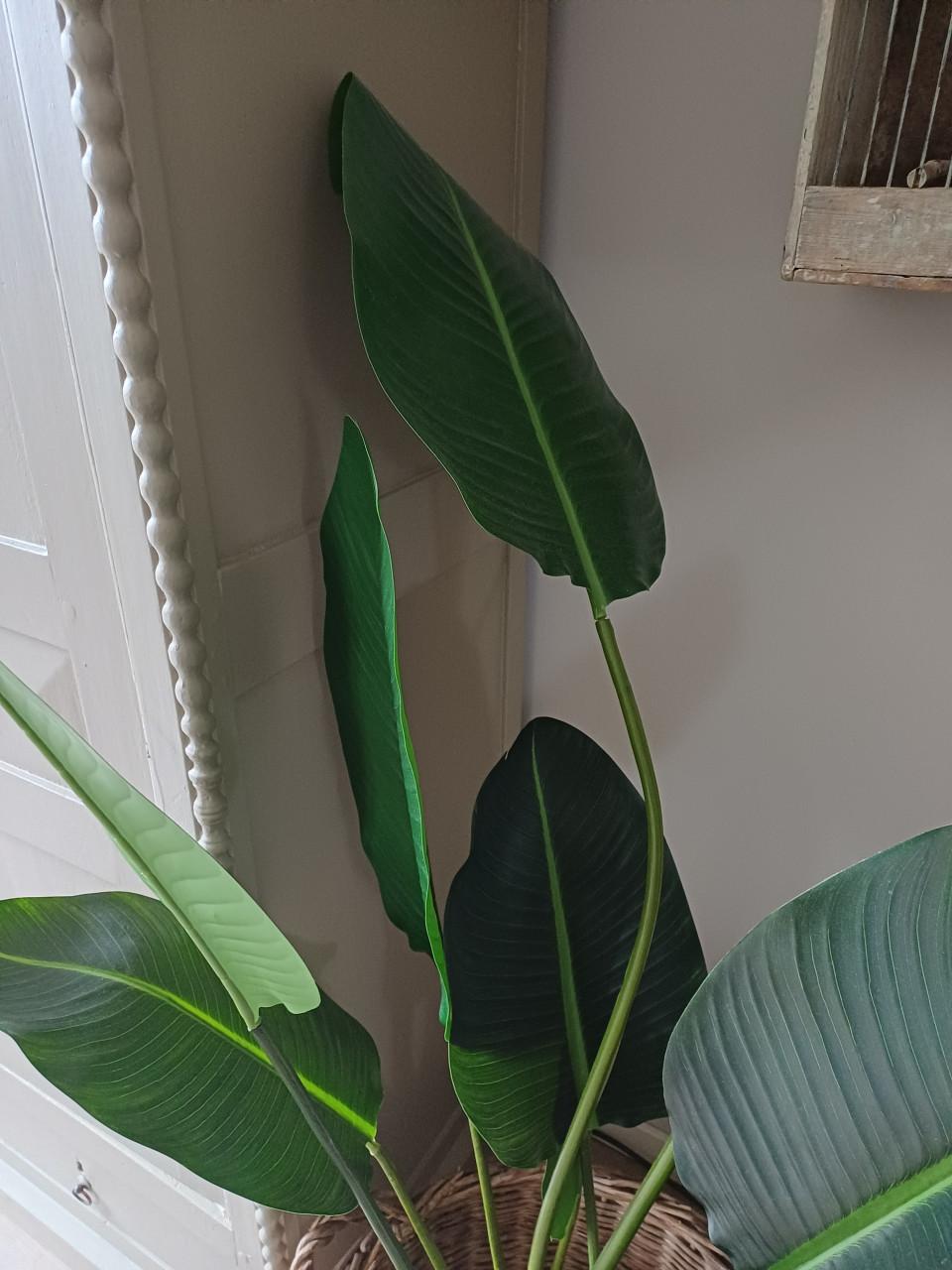 Kunst Strelitzia ongeveer 160 cm