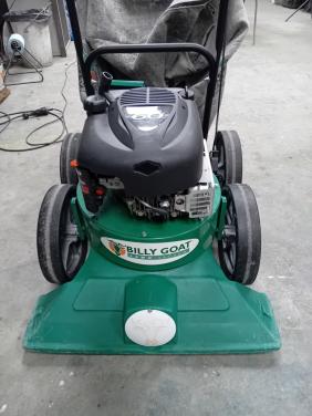 Mooie bladzuiger Billygoat