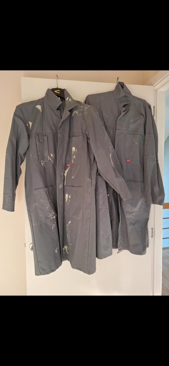 Carnavalskleding of themafeestkleding