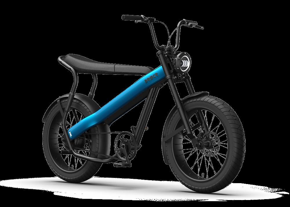 BREKR F250 stoere E-BIKE
