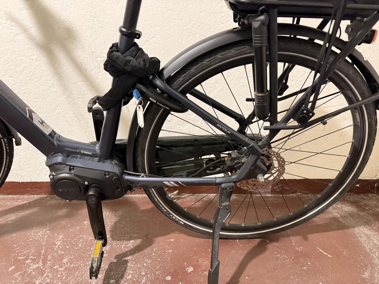 In nieuwe staat Giant Damesfiets met 2 accu’s