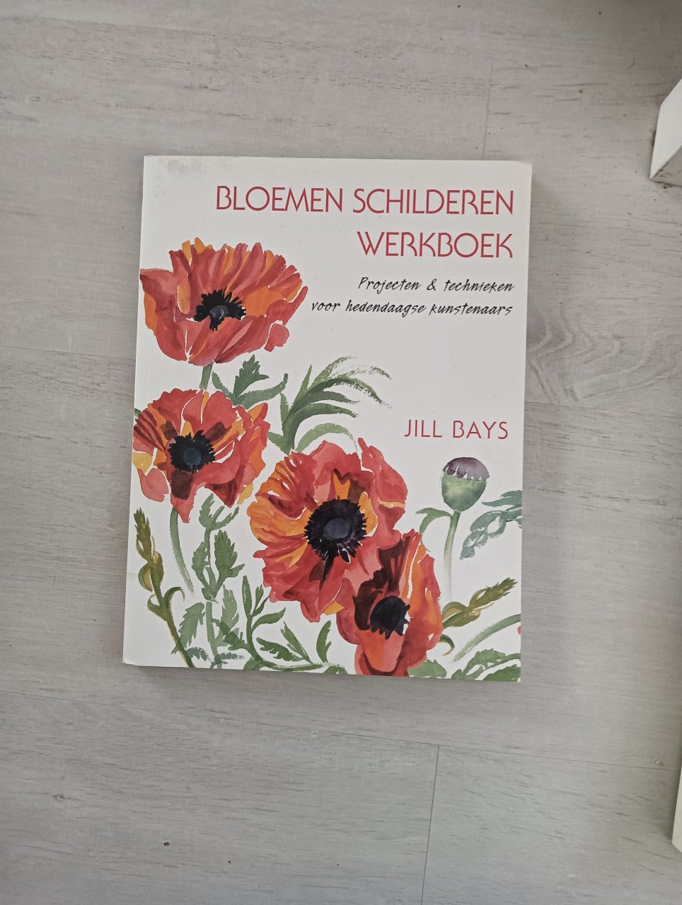 Diverse schilder boeken