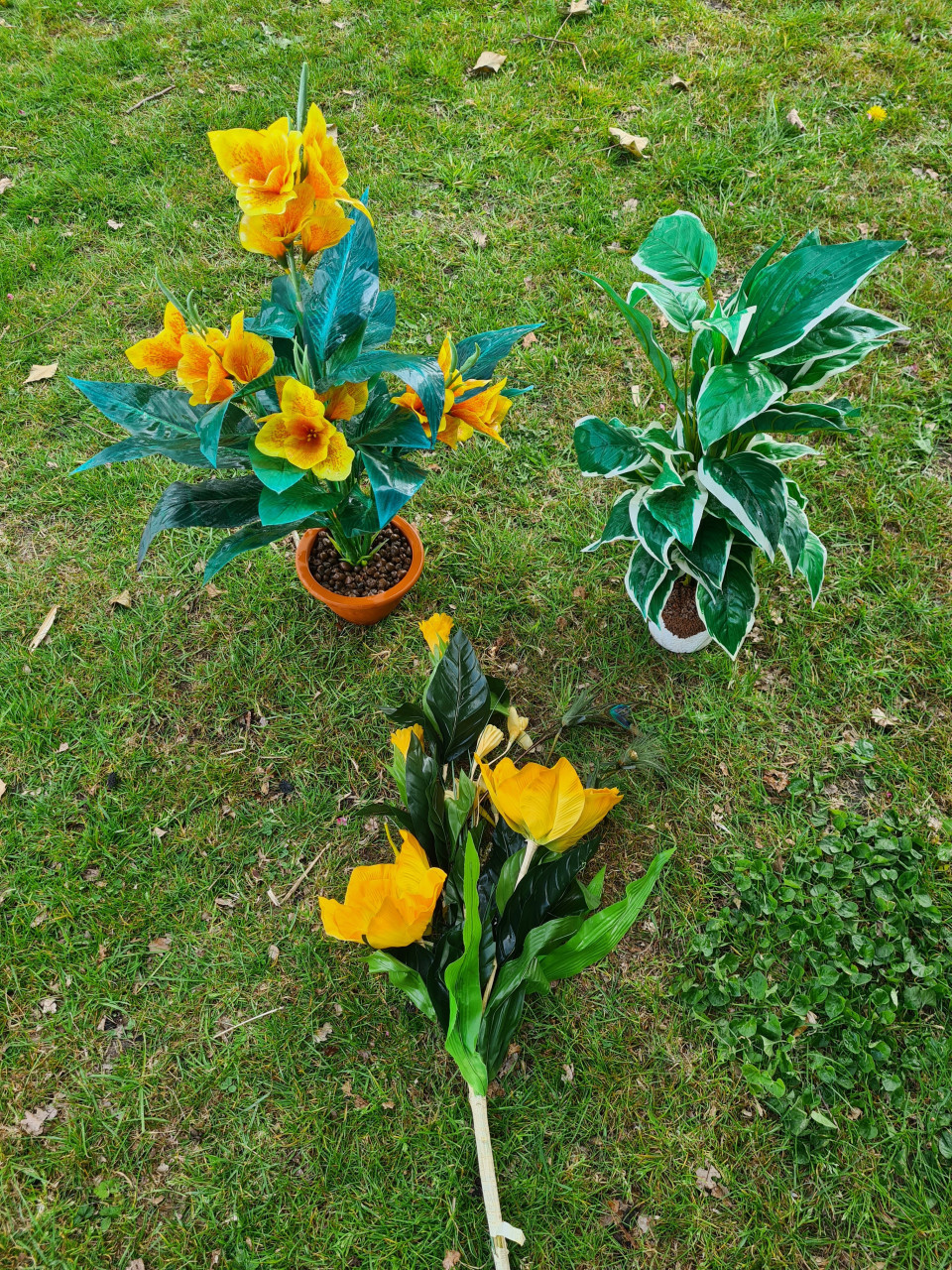 Nep planten