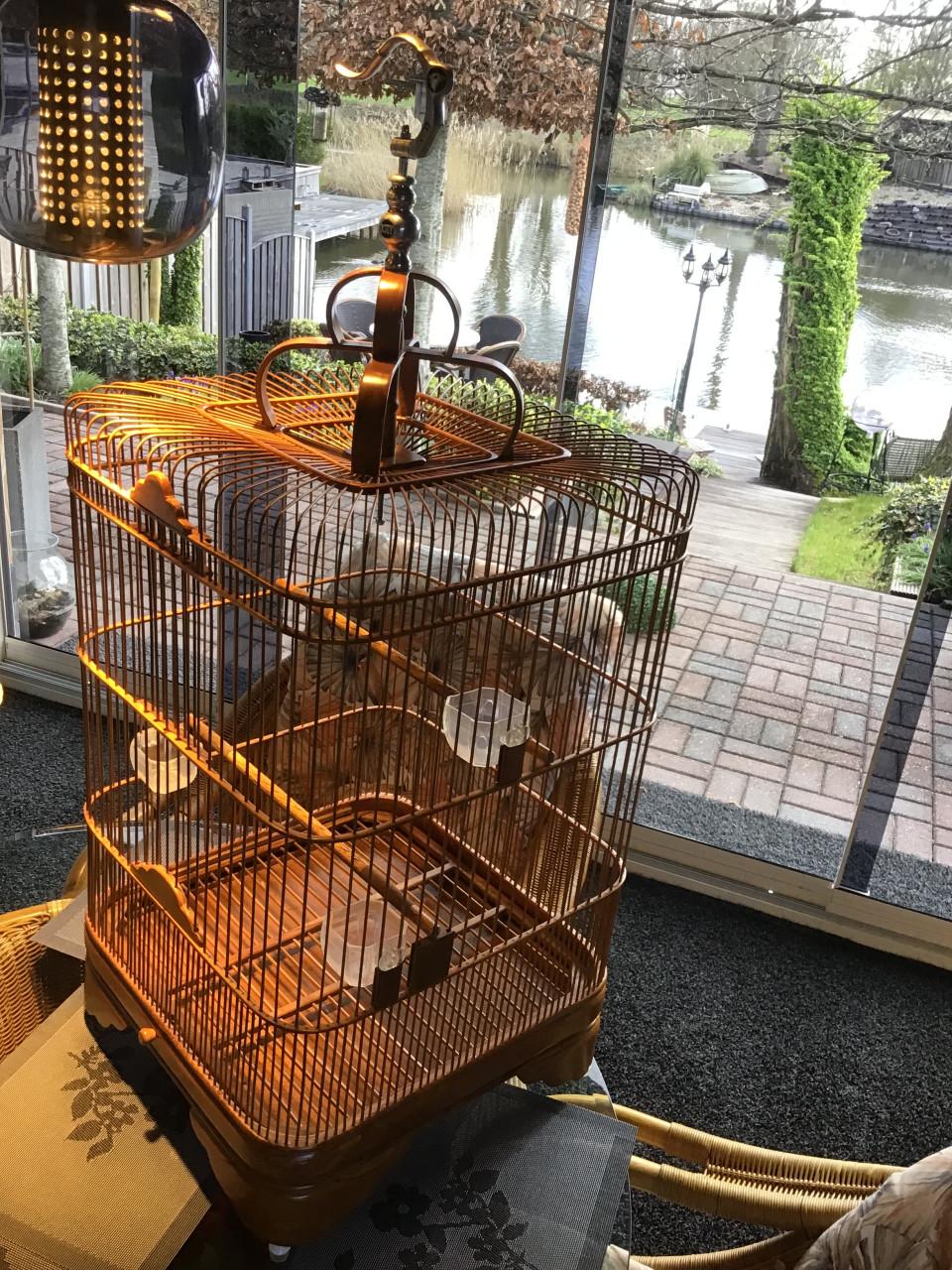 Zangkooi voor b v shamalijster