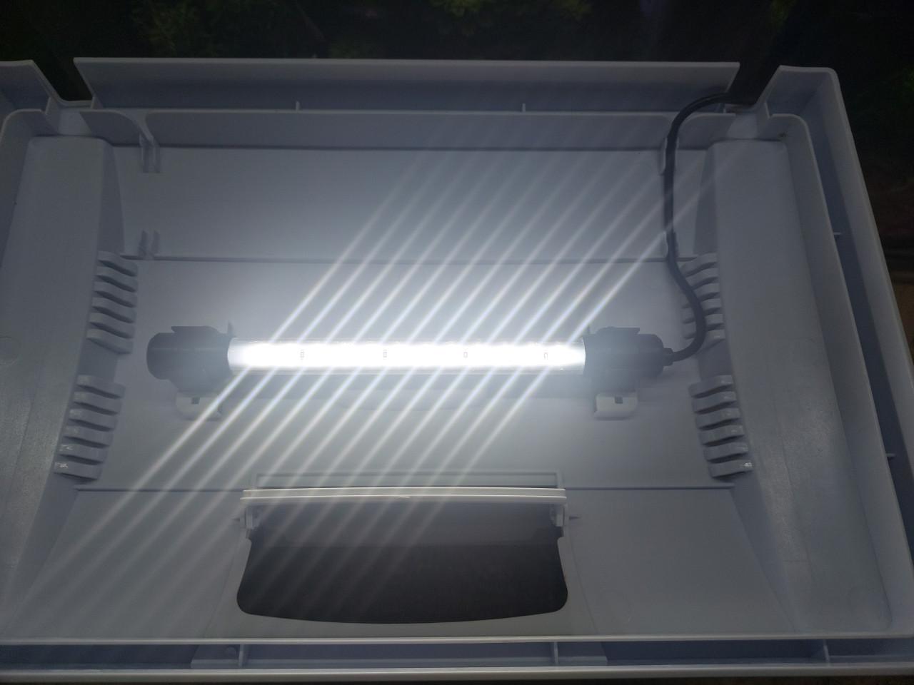 Superfish start 20 wit