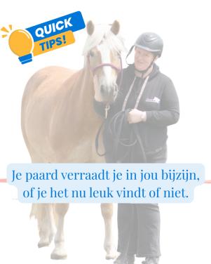 Ze vroeg om een paardentrainer, ze kreeg een coach voor zichzelf