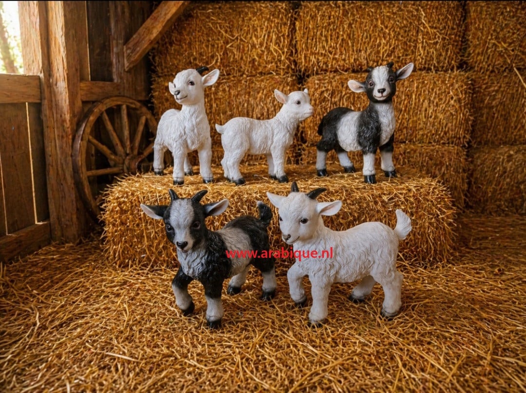 Baby bokjes big geit lammetje enz