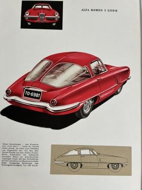 Alfa Romeo president Argentinië