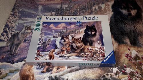 Puzzel 2000 stukjes wolven