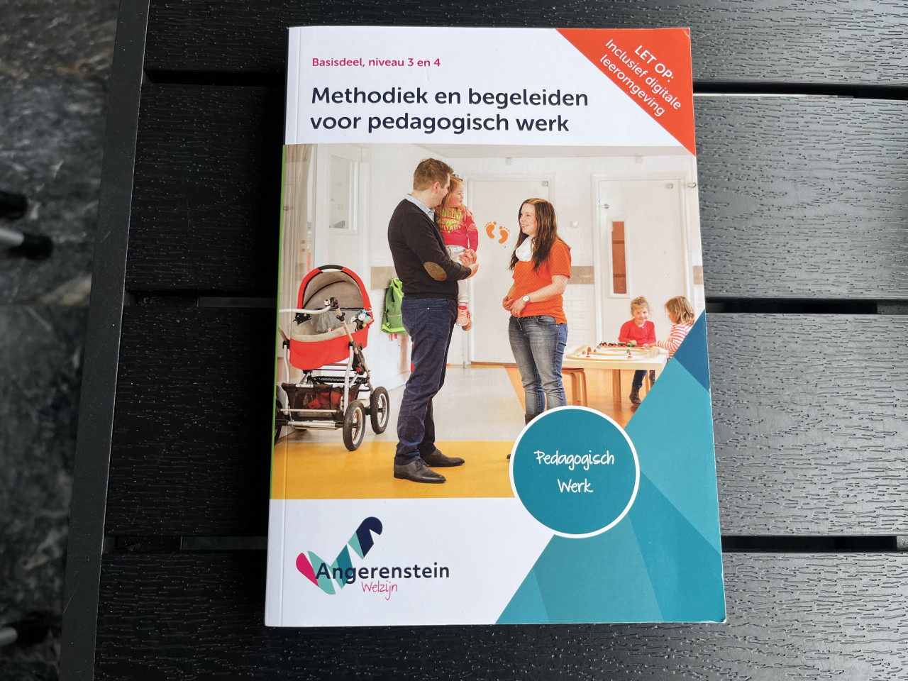 5 Schoolboeken Pedagogisch werk Angerenstein Welzijn