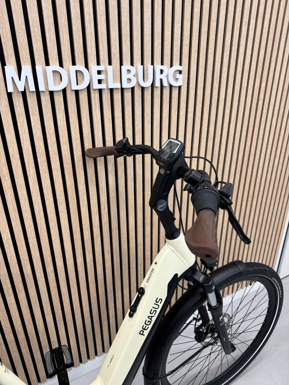 Pegasus Ravenna Evo Bosch Active Line Plus 500WH 2421KM