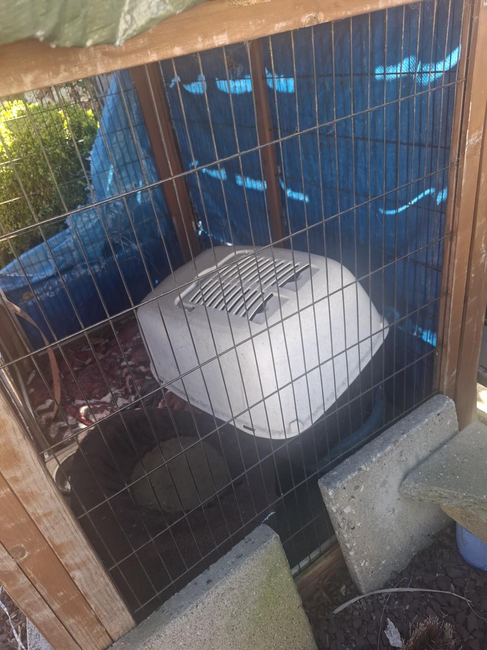 Dierenhok kattenren of ander huisdier plus kattenhuis