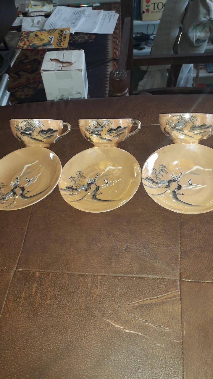 Japans blauw-bruin servies