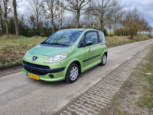 Peugeot 1007