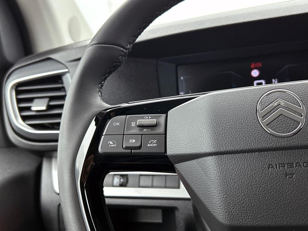 Citroen Onbekend holidays bluehdi 180pk automaat | rijklaar | hefdak | vol 