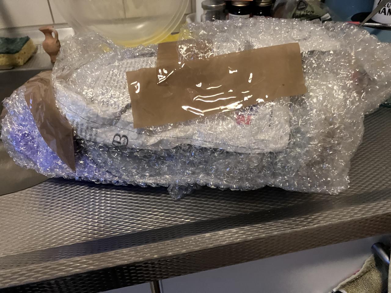 HOLOGRAM hanger Roos