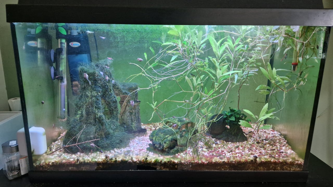 Compleet aquarium met kast